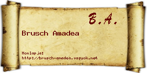 Brusch Amadea névjegykártya